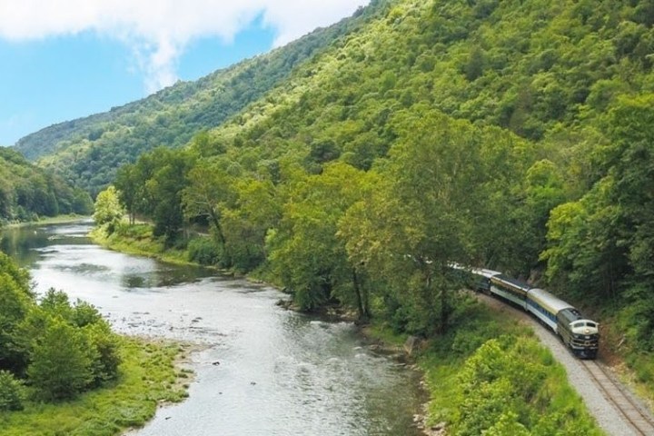 a train traveling through a river surrounded by forest