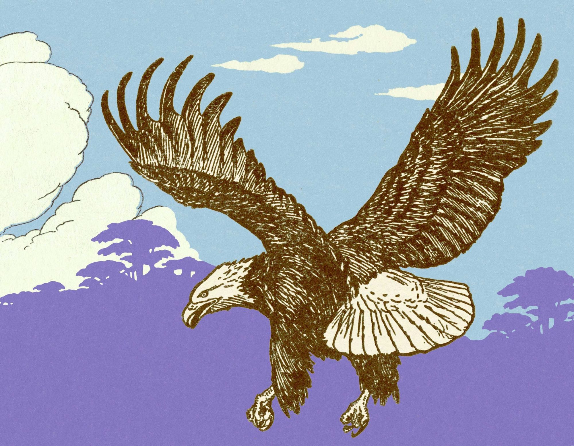 GettyImages-152406529-scaled Artwork of a Eagle flying
