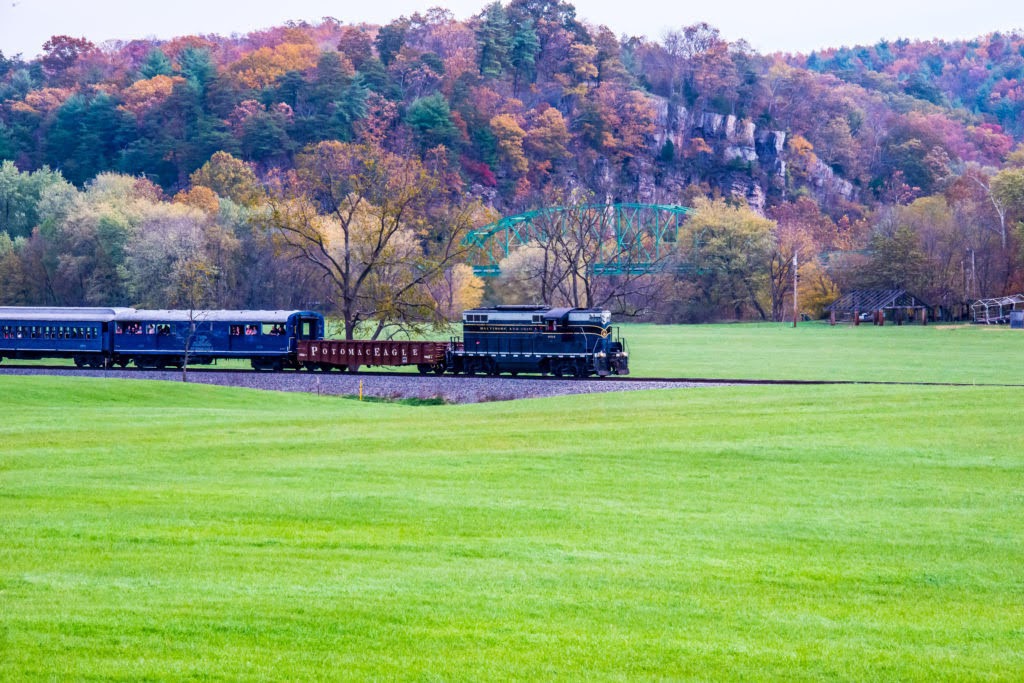all-day-trip All Day Petersburg excursion train ride