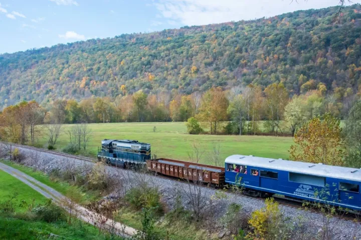 a train traveling through a lush green hillside