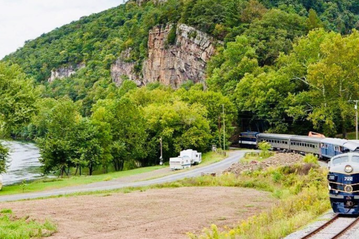 a train traveling down train tracks near a forest
