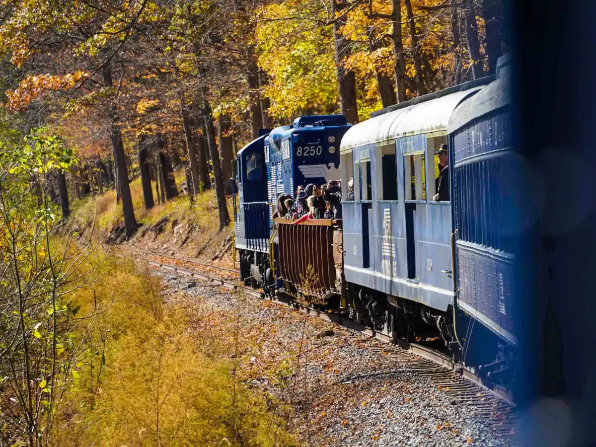 DSC00459-2-scaled a train traveling down train tracks near a forest