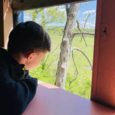 a young boy looking out his winow in the coach car