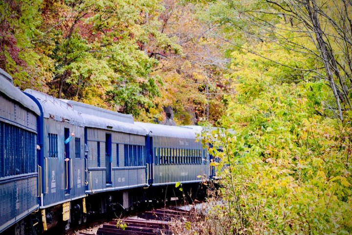 Potomac Eagle train going around the bend in early fall