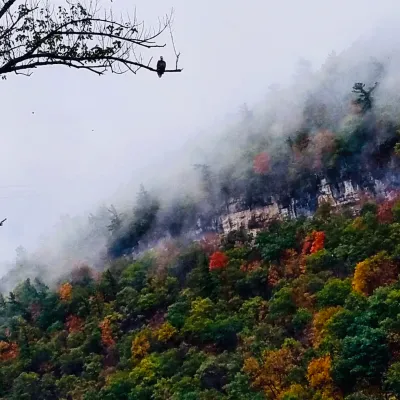 Foggy Trough Canyon View
