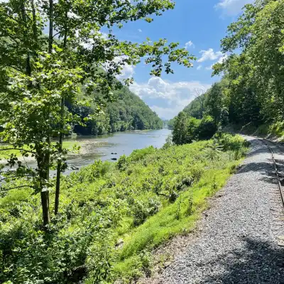 Summer time view of the Trough Canyon