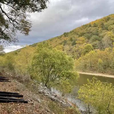 Open window car view of the Trough Canyon river
