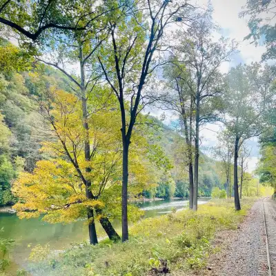 railroad tracks in the trough canyon