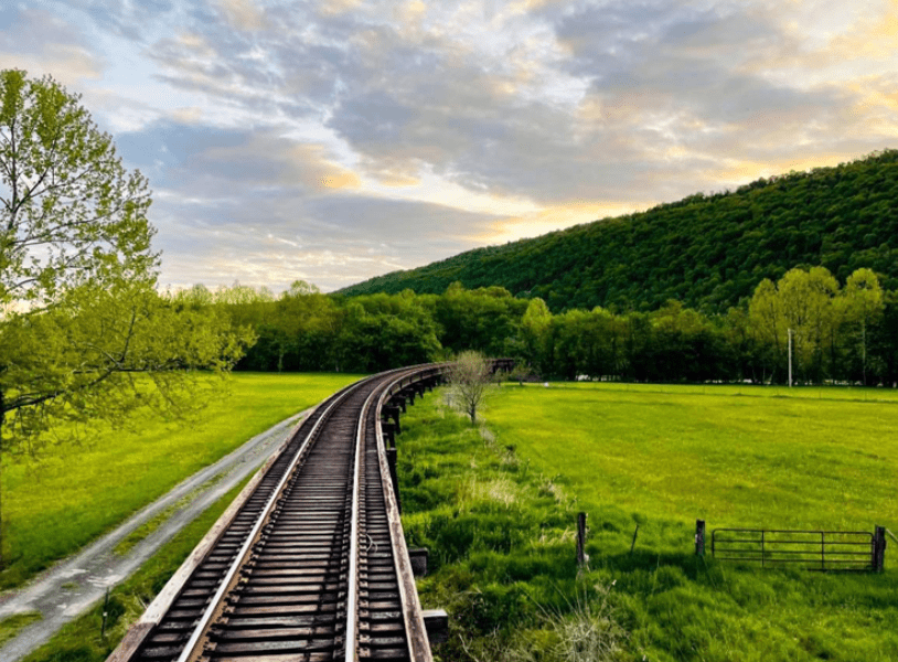 New Project(3) a train traveling through a lush green field