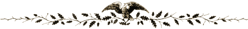 eagle spacer a close up of an animal