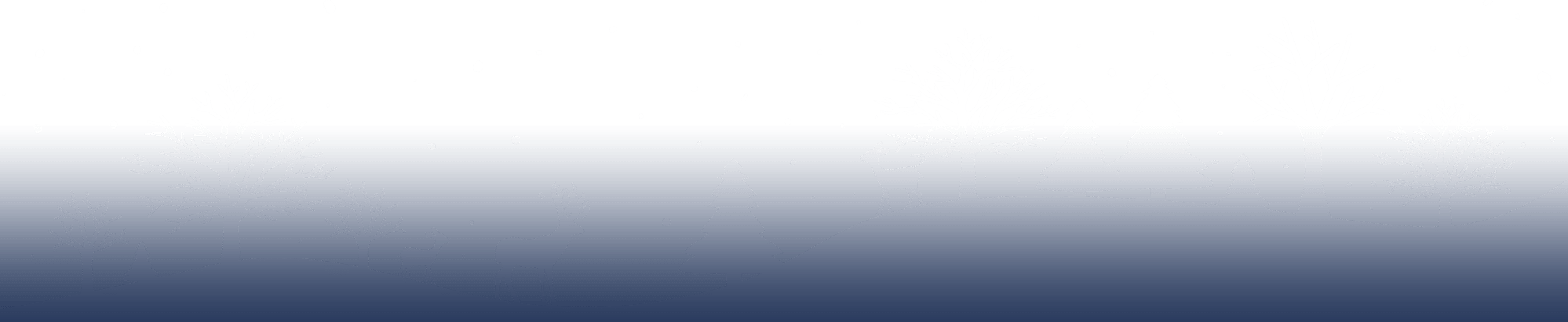 fireworks in the sky