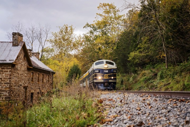 a train traveling down train tracks near a forest
