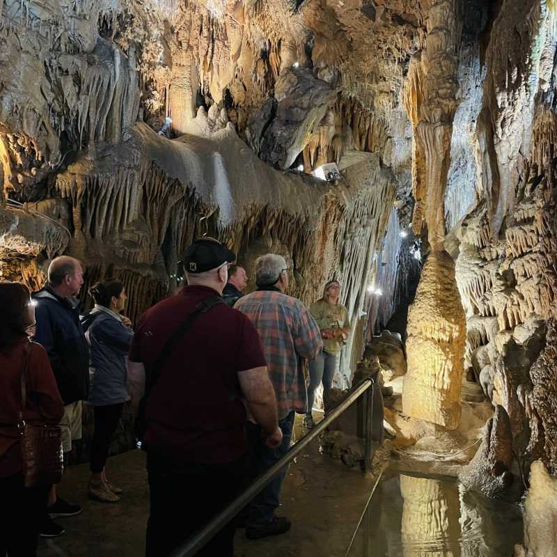 a group of people standing next to a tree